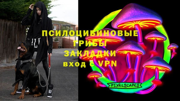 твердый Волоколамск