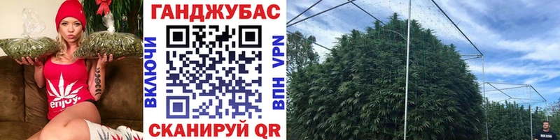 Конопля индика купить наркотики сайты Рузаевка
